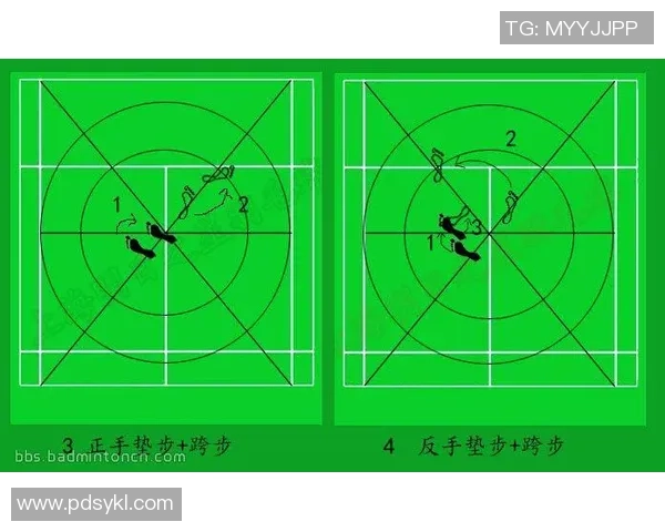 南京羽毛球队的节奏打法深度分析与战术解读