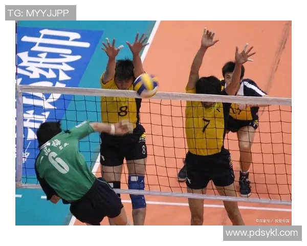 南京排球队在精英赛中的力量展现与战术分析