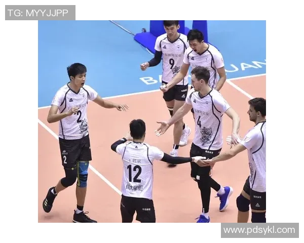 专业解读：深圳排球队的运营打法